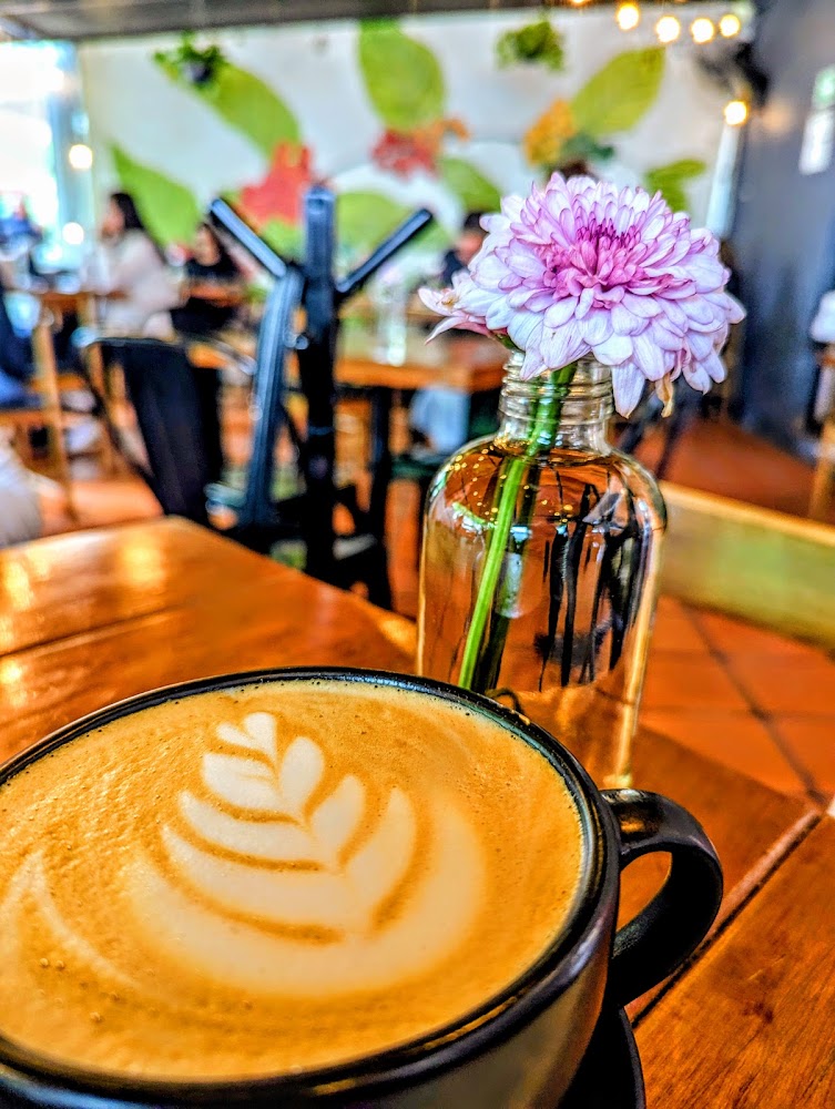 Neretta Café & Gelato Chapalita