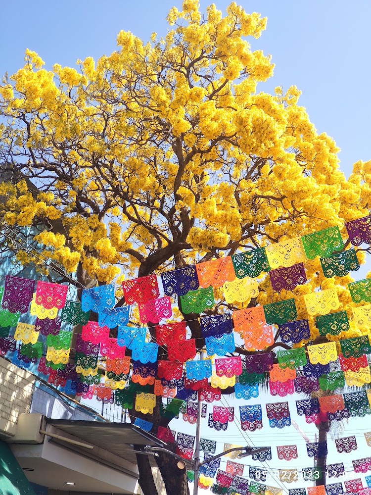 Mercado del Mar