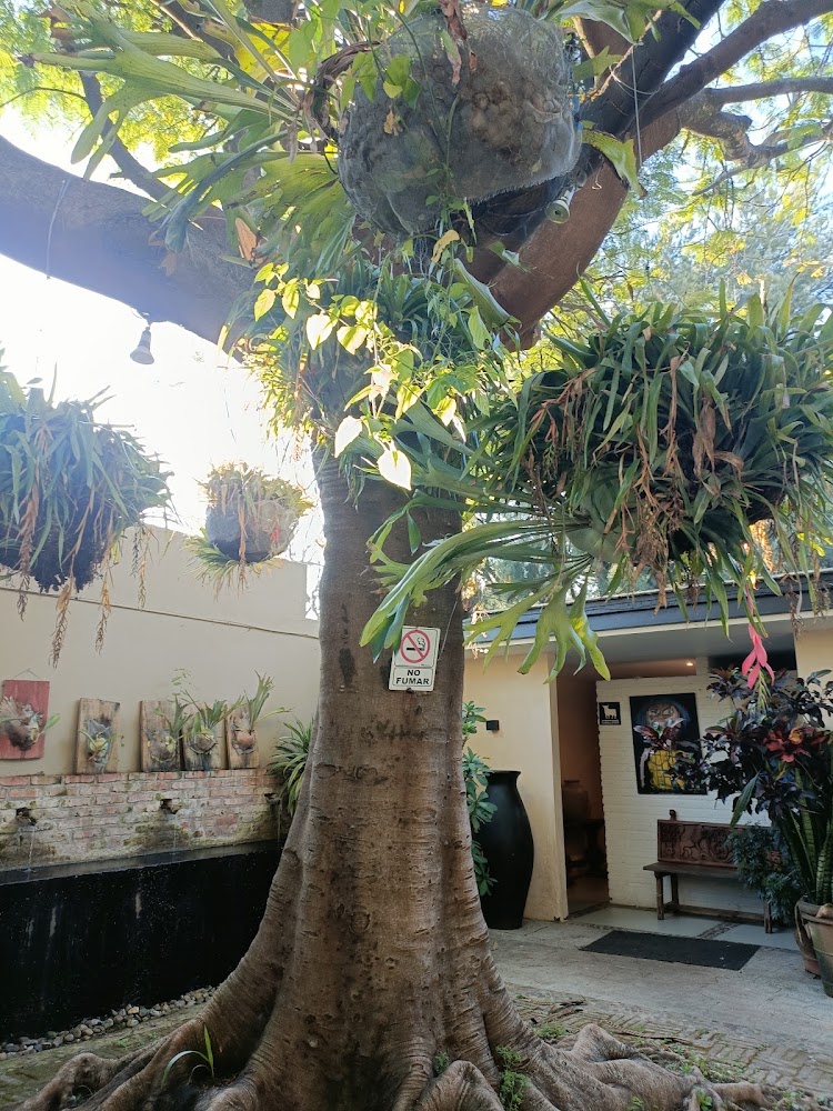 Café Providencia Guadalupe