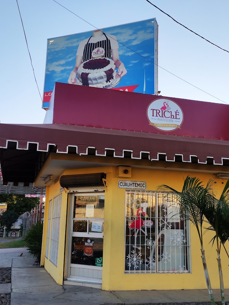Triché