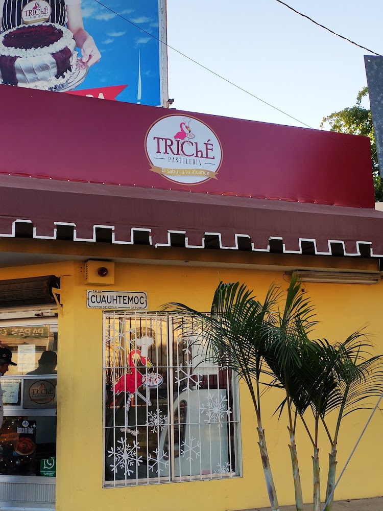 Triché