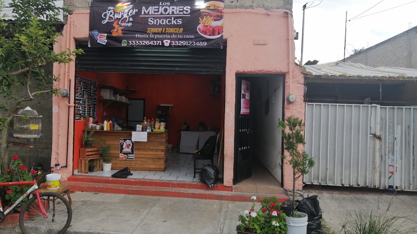 Mr. Burger & Wings (alitas, Hamburguesas, Hot Dogs, Boneles, Dedos de Queso, Papas, Salchipulpos, Lonches y Mas)