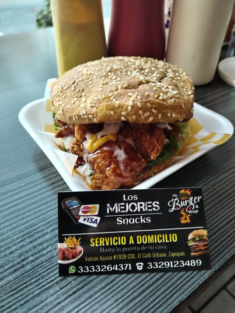 Mr. Burger & Wings (alitas, Hamburguesas, Hot Dogs, Boneles, Dedos de Queso, Papas, Salchipulpos, Lonches y Mas)