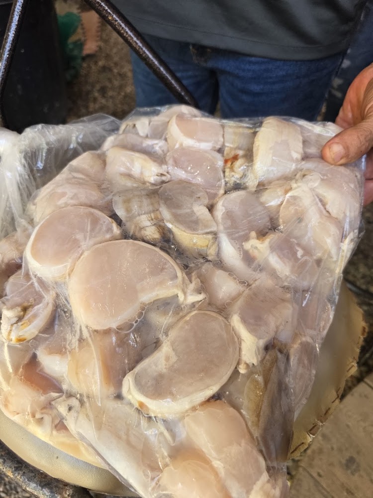Mariscos ostiones el tirso