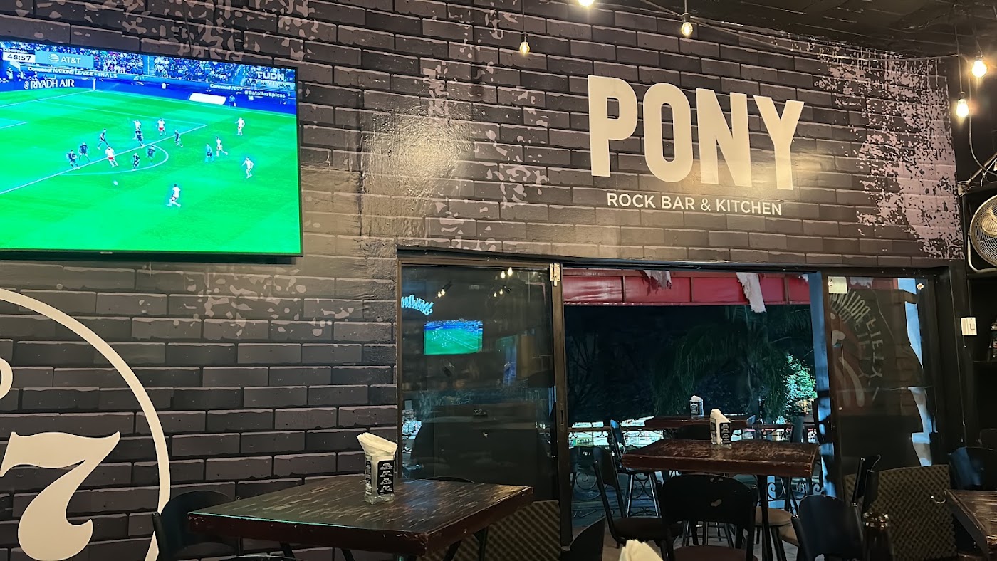Pony