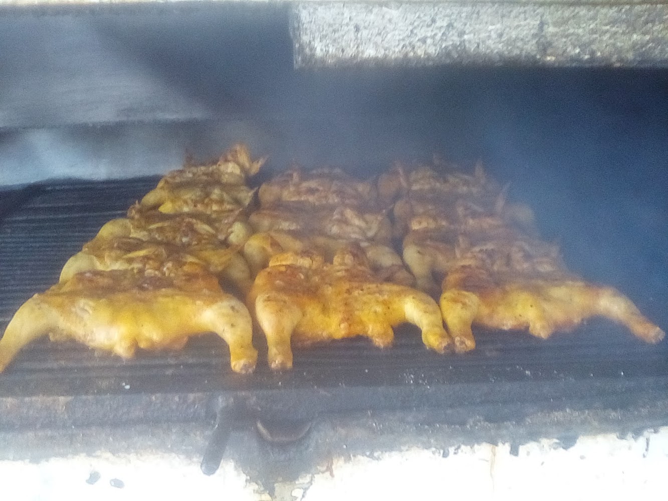 Pollo Boy