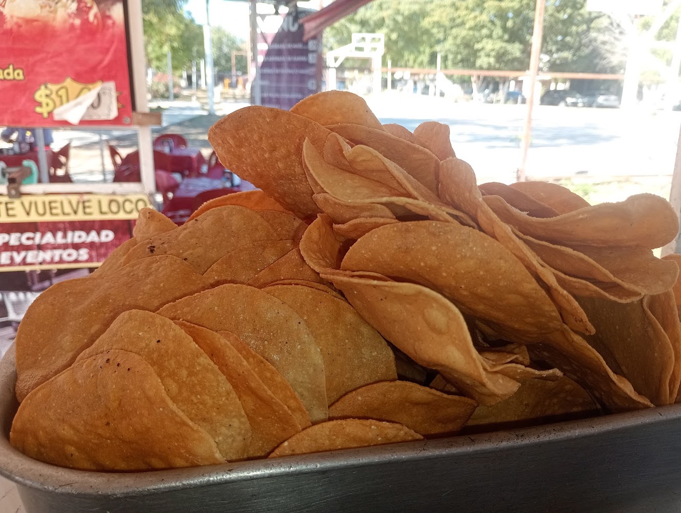 Tacos De Adobada PEDRITO
