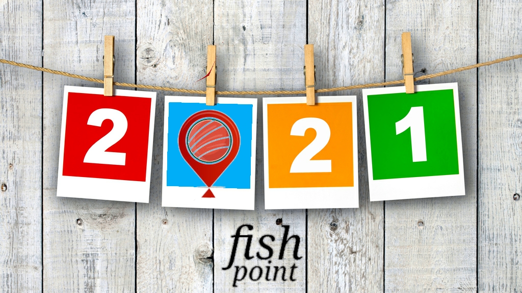 Fish point