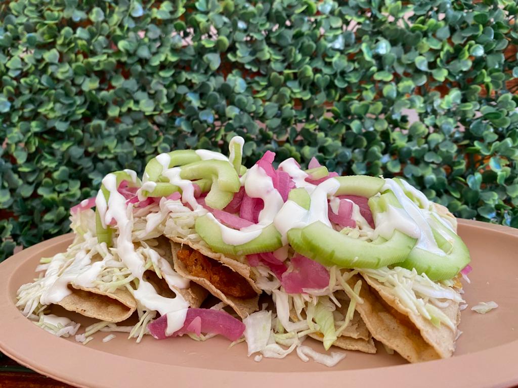 Taco Seco "Jiquilpan"
