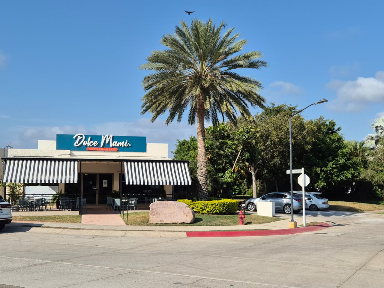 Dolce Mami Suc. Cerritos