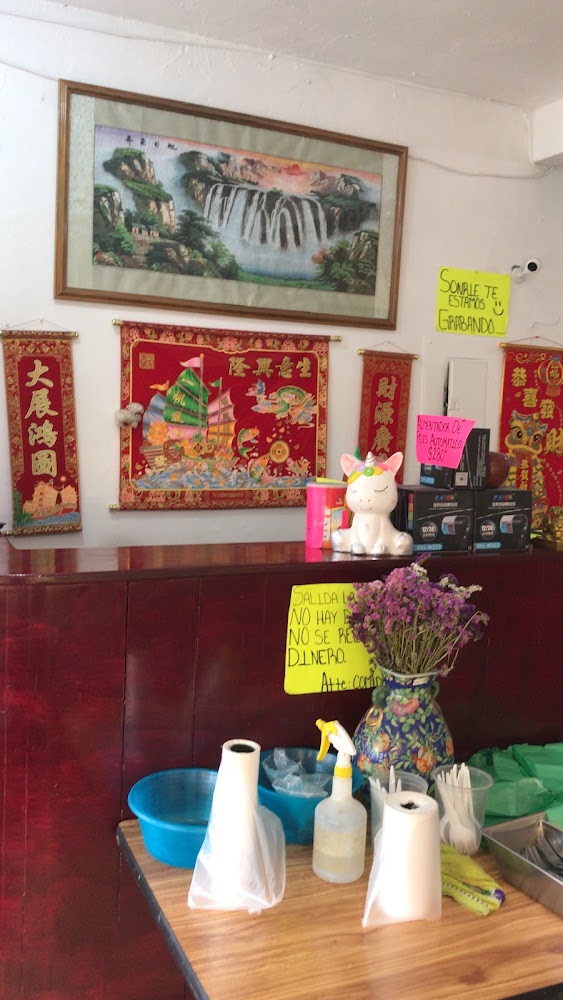 Comida china