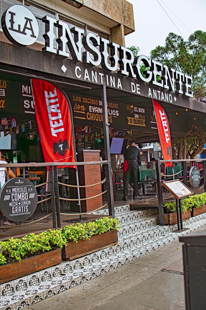 La Insurgente