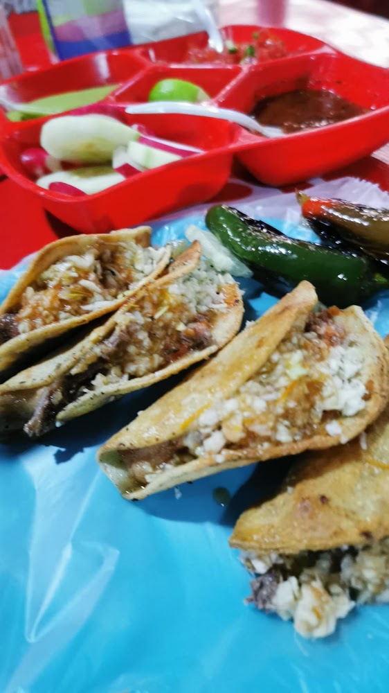 Tacos Los Cebosos el chamizal