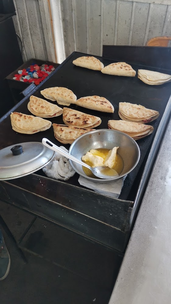 El Gringo tacos de marlin Camaron