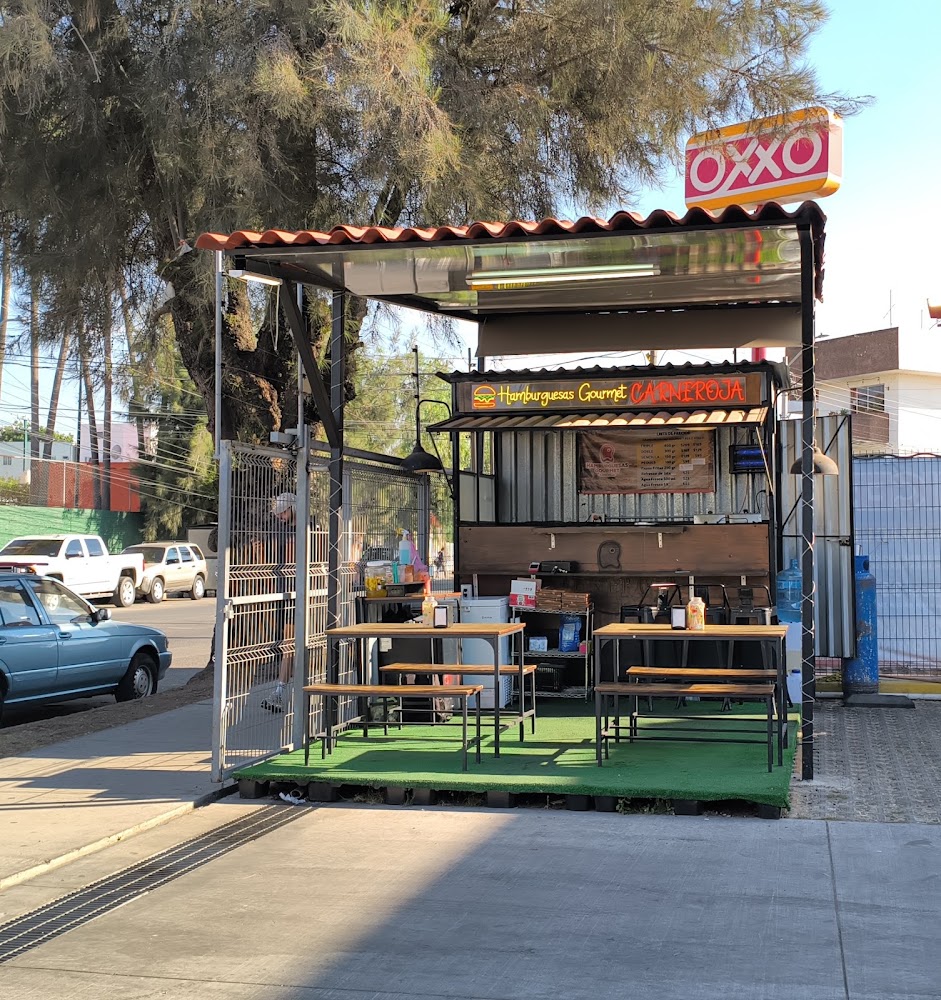 Hamburguesas Gourmet CARNEROJA