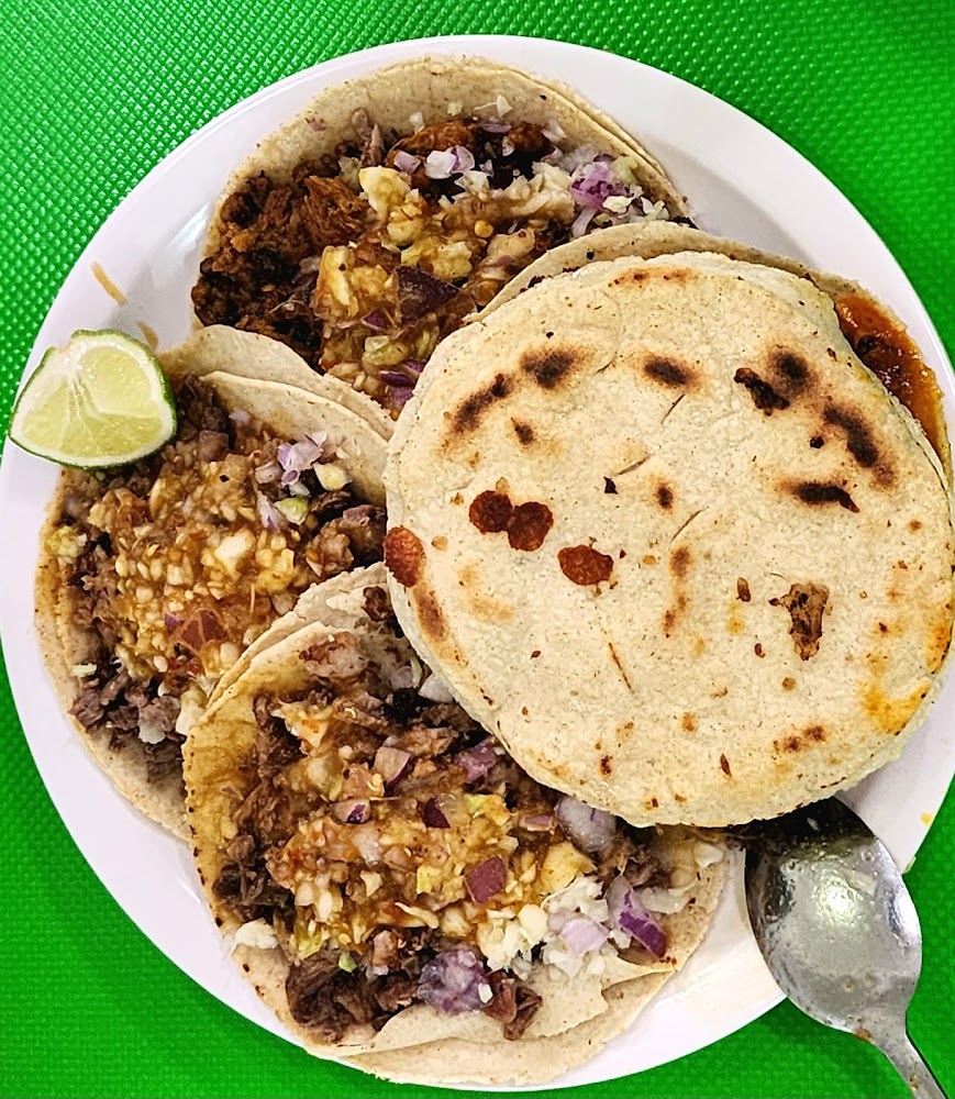 Taquería Playa Sur