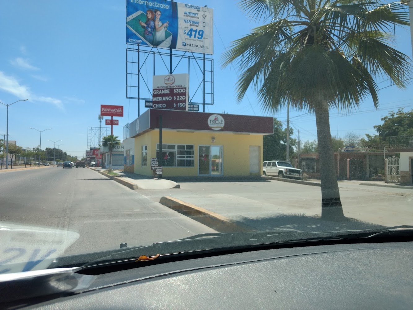 Triché