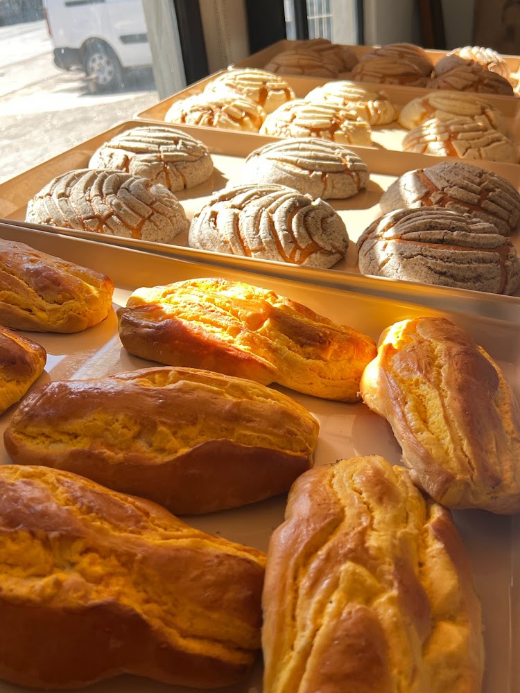 Shop Bakery Lm