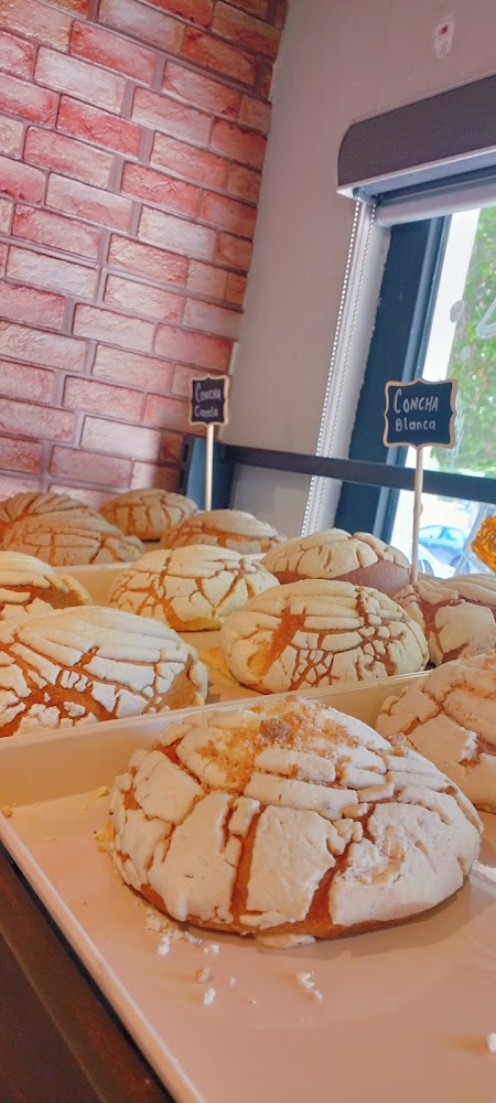 Shop Bakery Lm