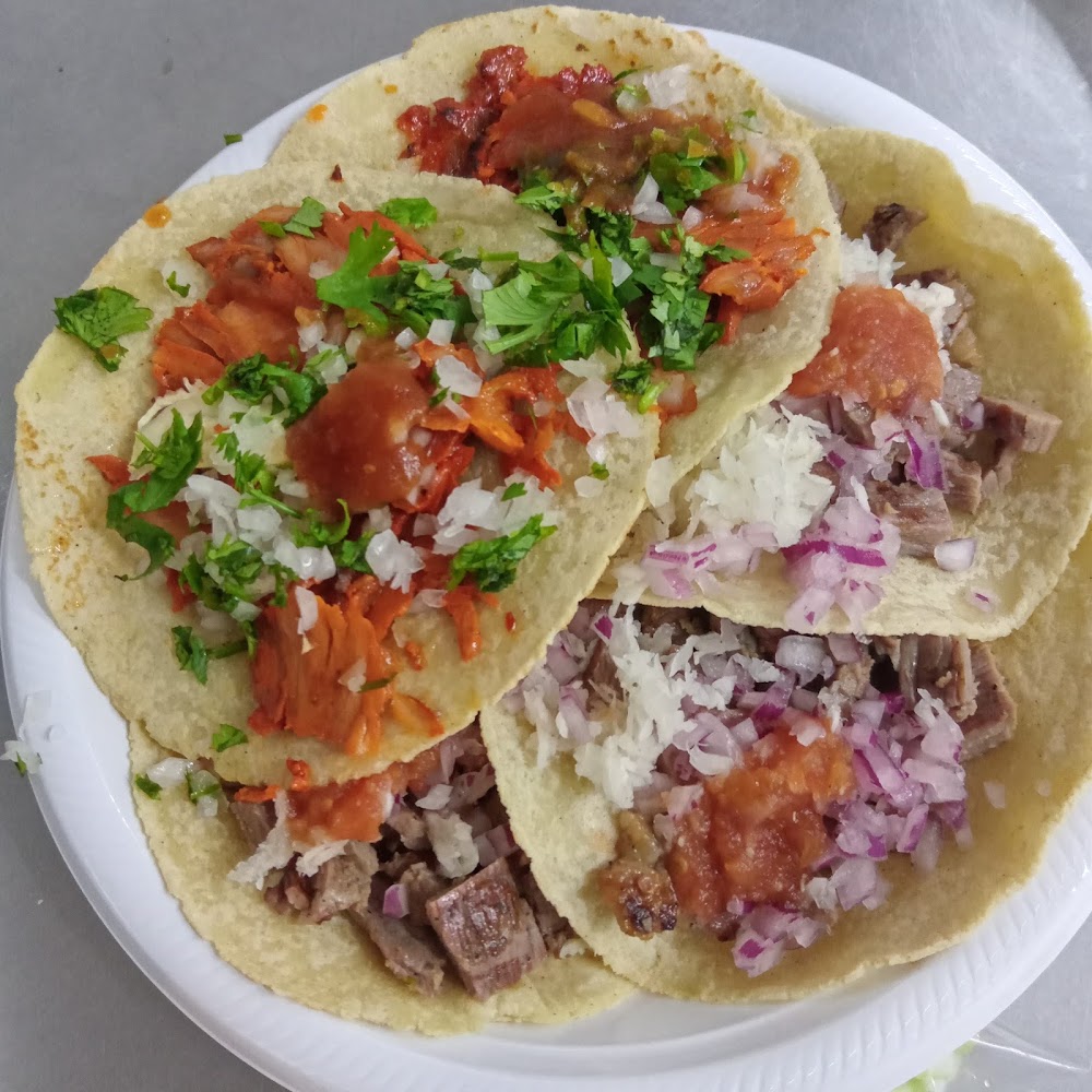 Taqueria El Buen Taco Mzt