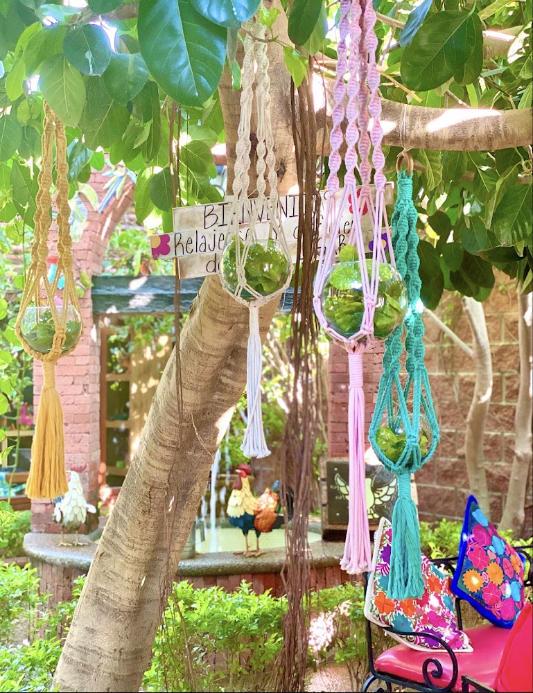 Campestre Colibrí