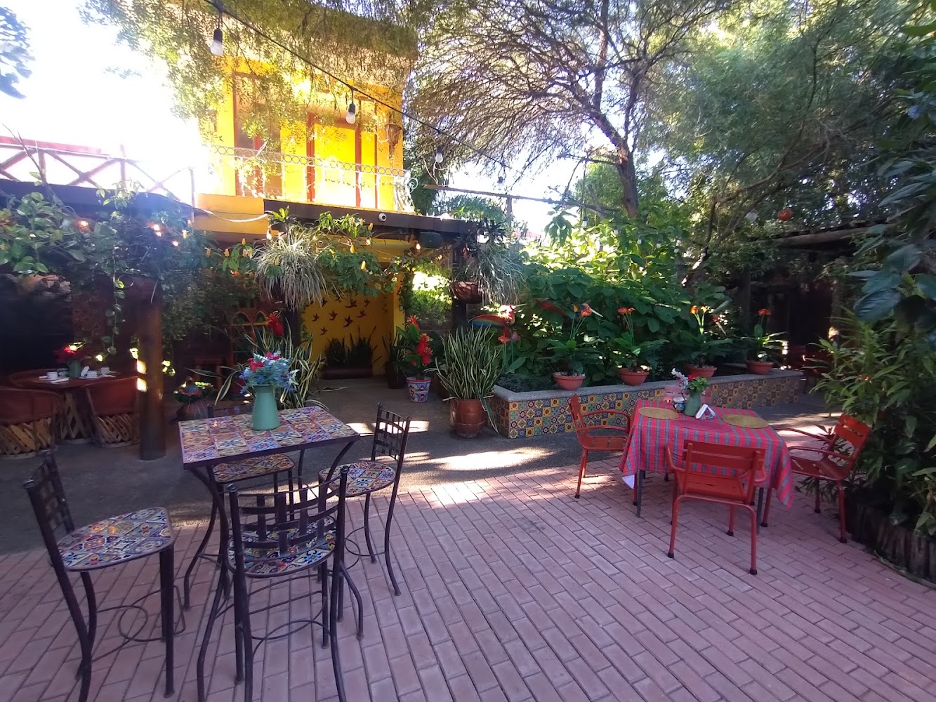 Campestre Colibrí