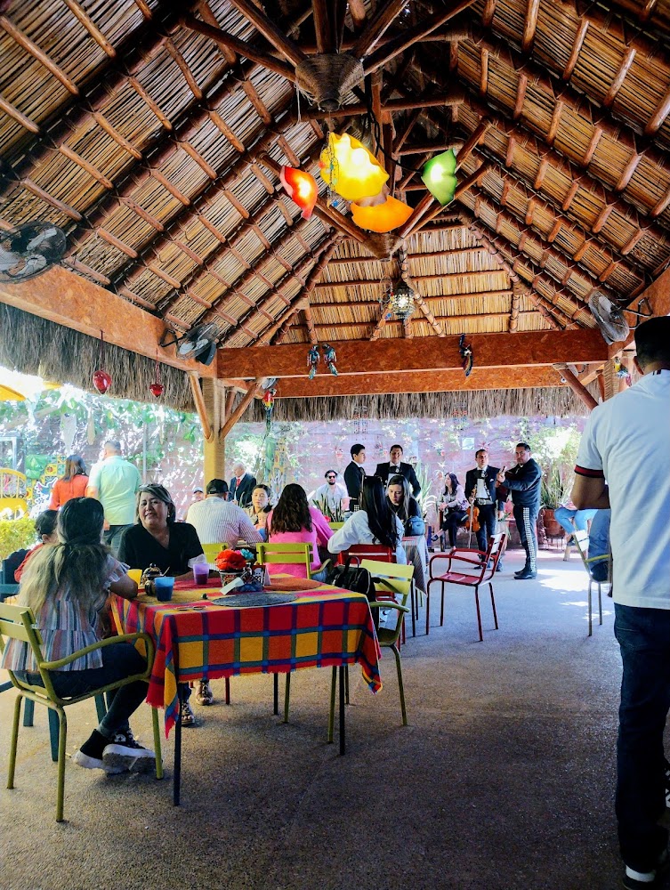Campestre Colibrí
