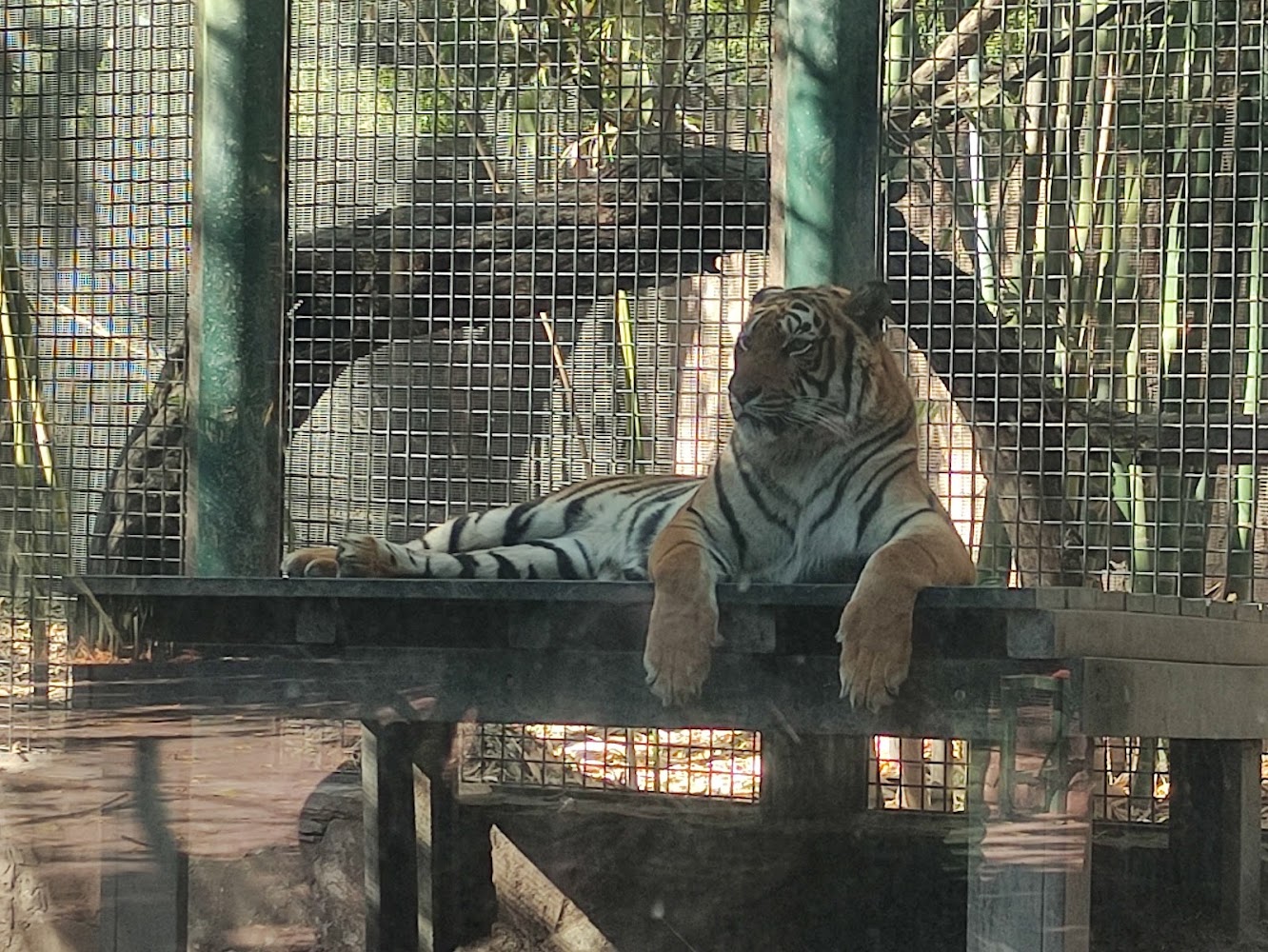 Zoológico de Culiacán