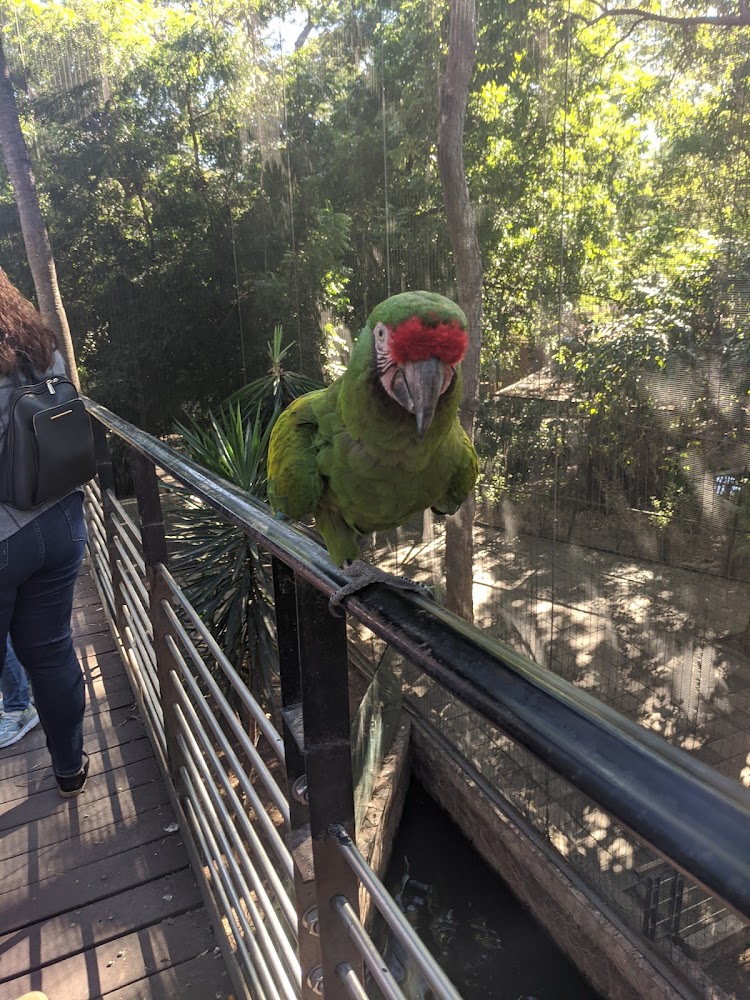 Zoológico de Culiacán