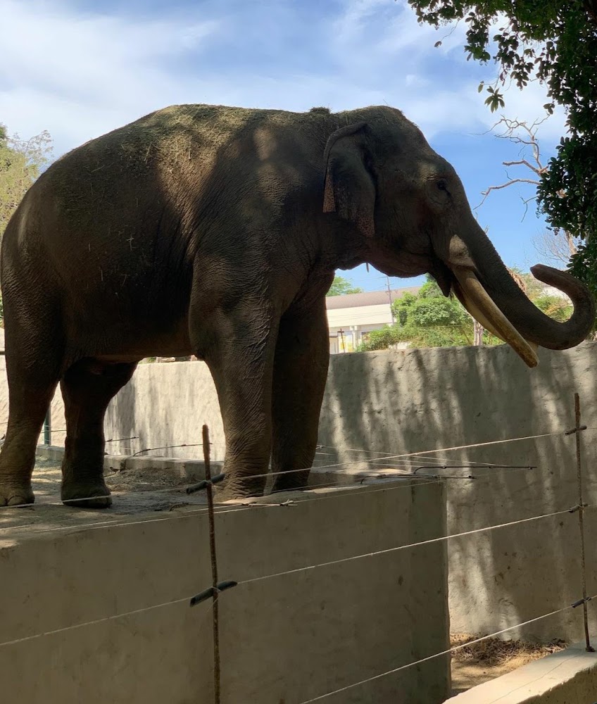 Zoológico de Culiacán