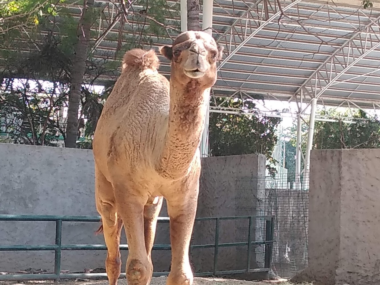 Zoológico de Culiacán