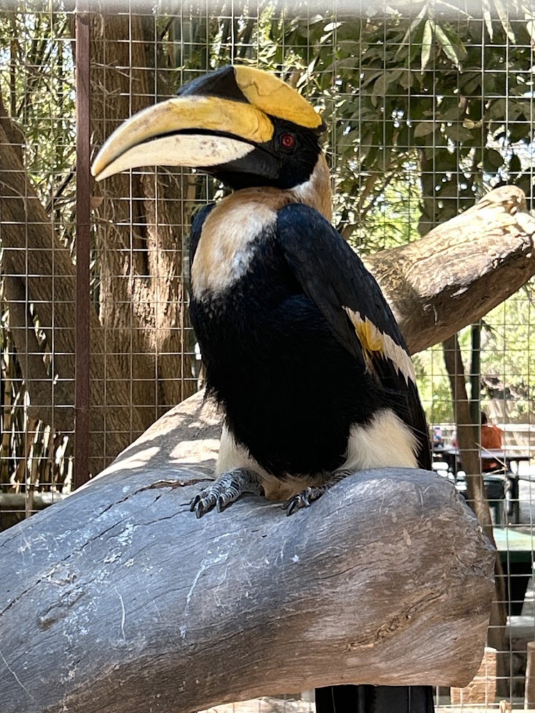 Zoológico de Culiacán