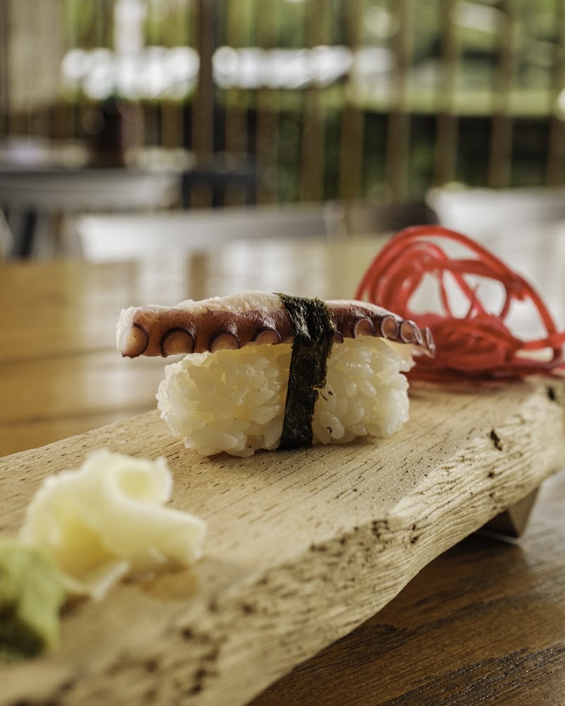 ZAO Sushi & Bar | Abedules