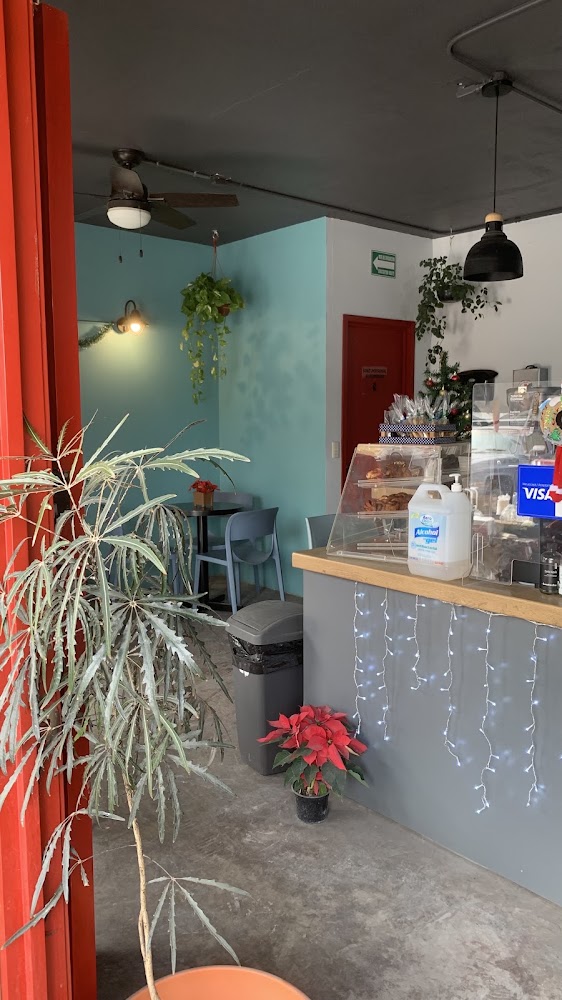 Taller de Espresso, Basílica de Zapopan