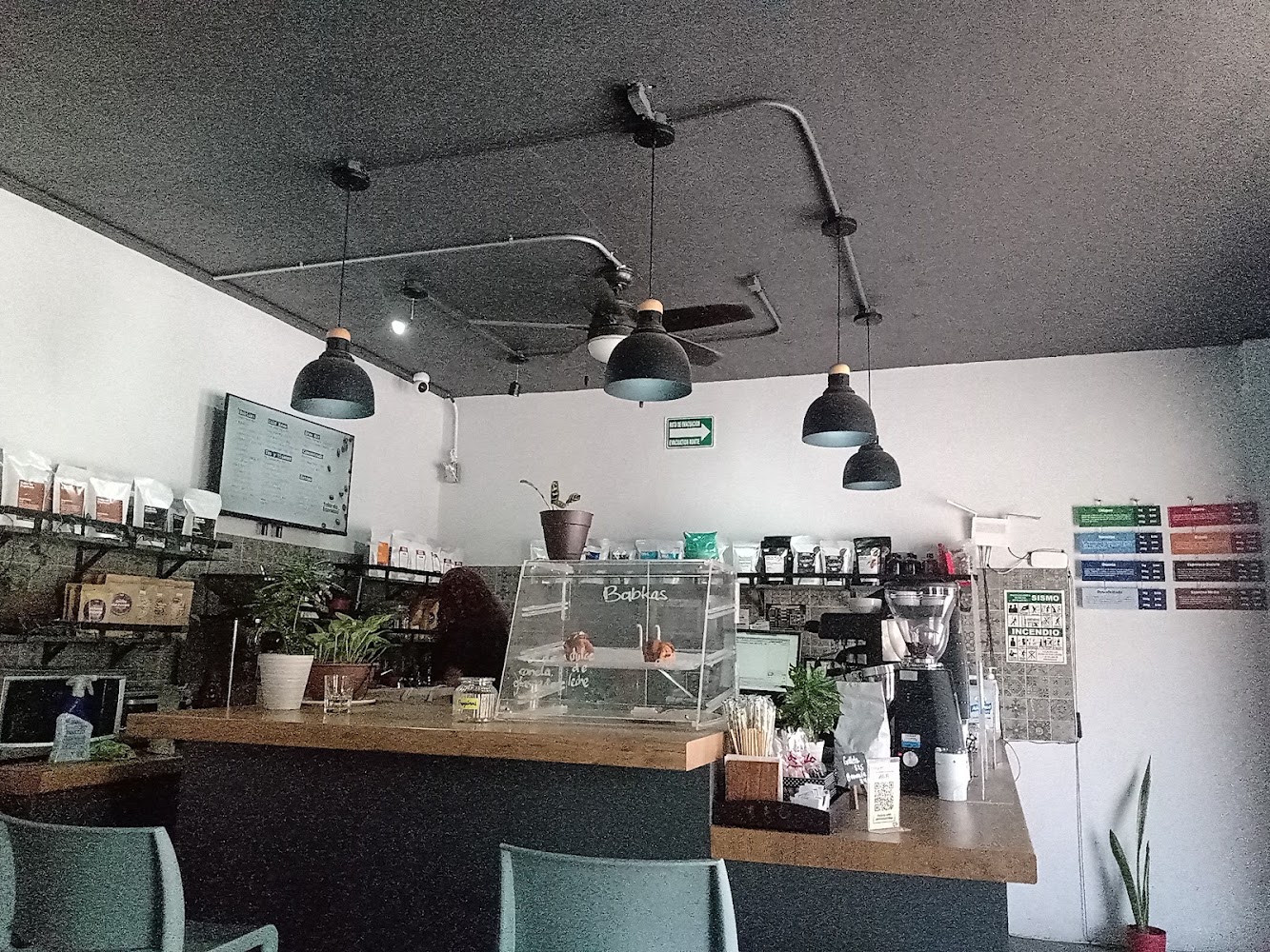 Taller de Espresso, Basílica de Zapopan