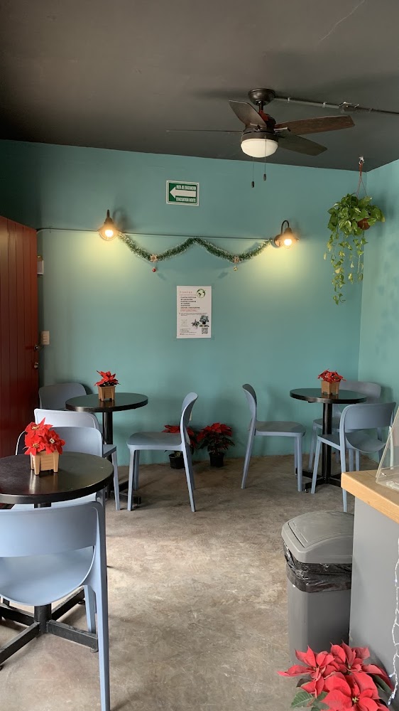 Taller de Espresso, Basílica de Zapopan