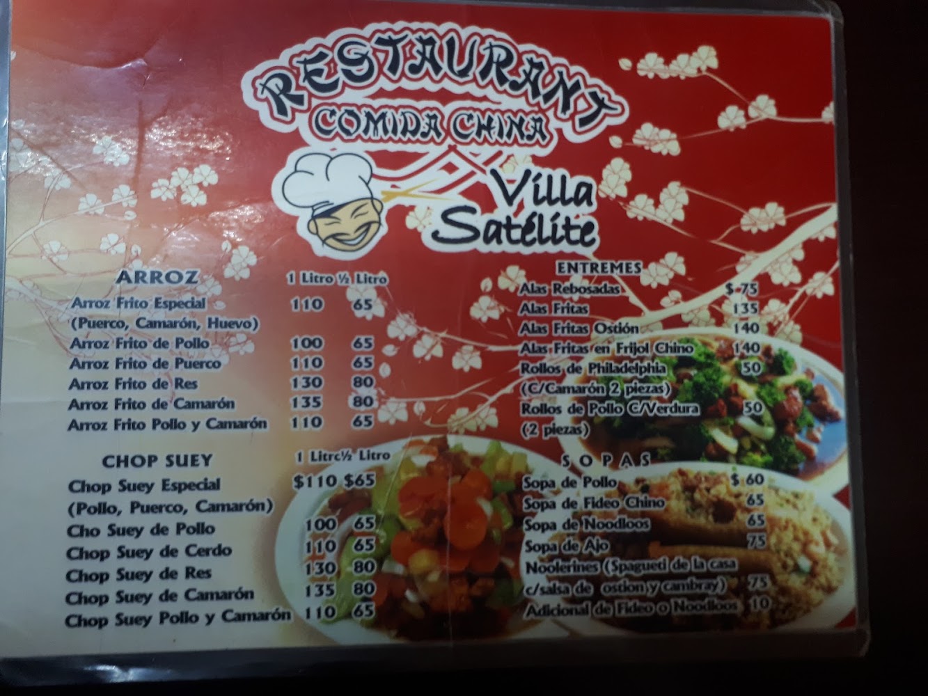 Comida China Villa Satélite