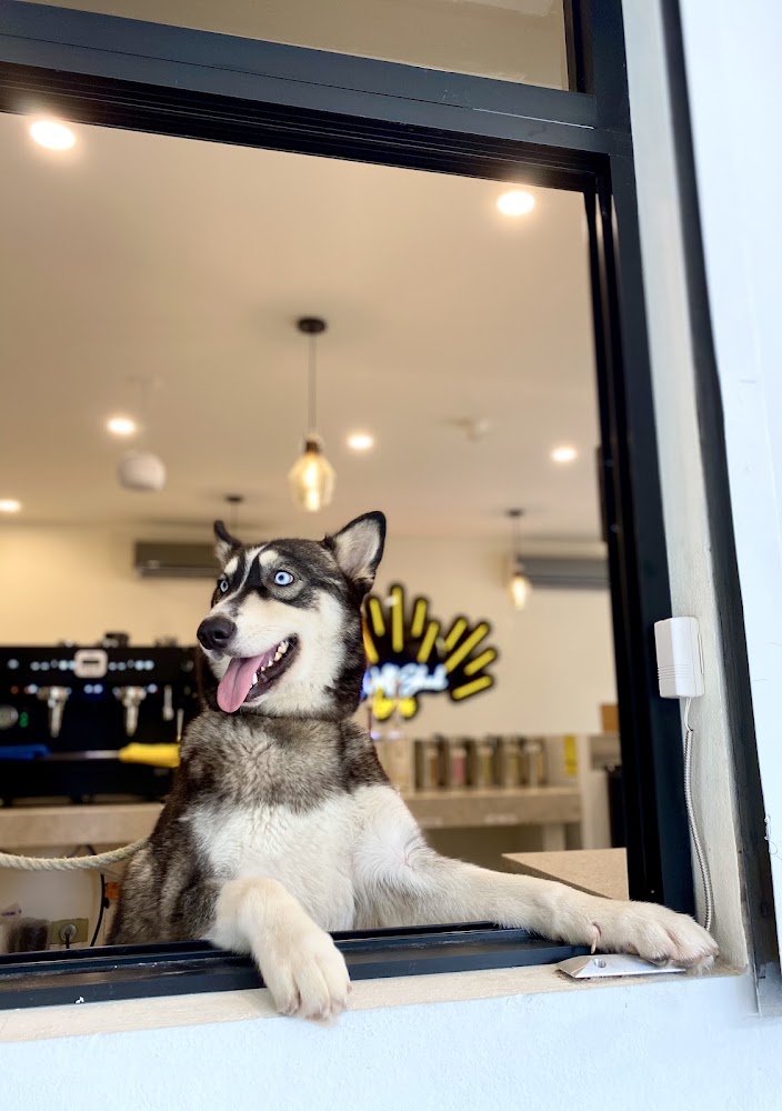 Wolf Shack Coffee & Tea · Bravo