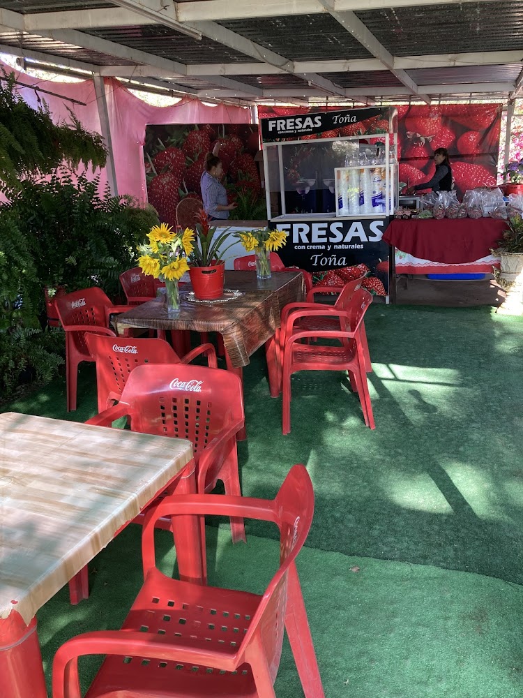 Fresas Toña