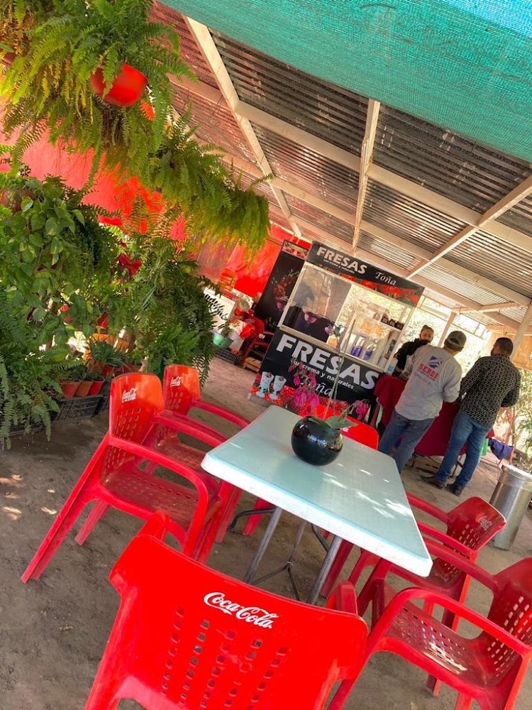 Fresas Toña