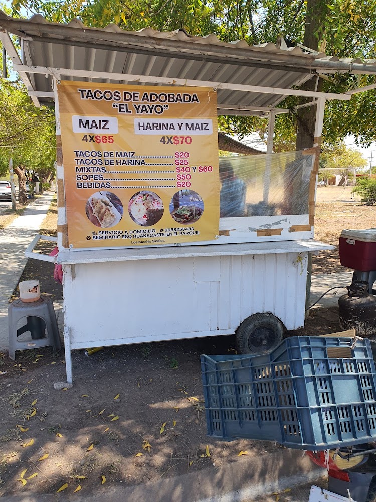 Tacos de Adobada el Yayo