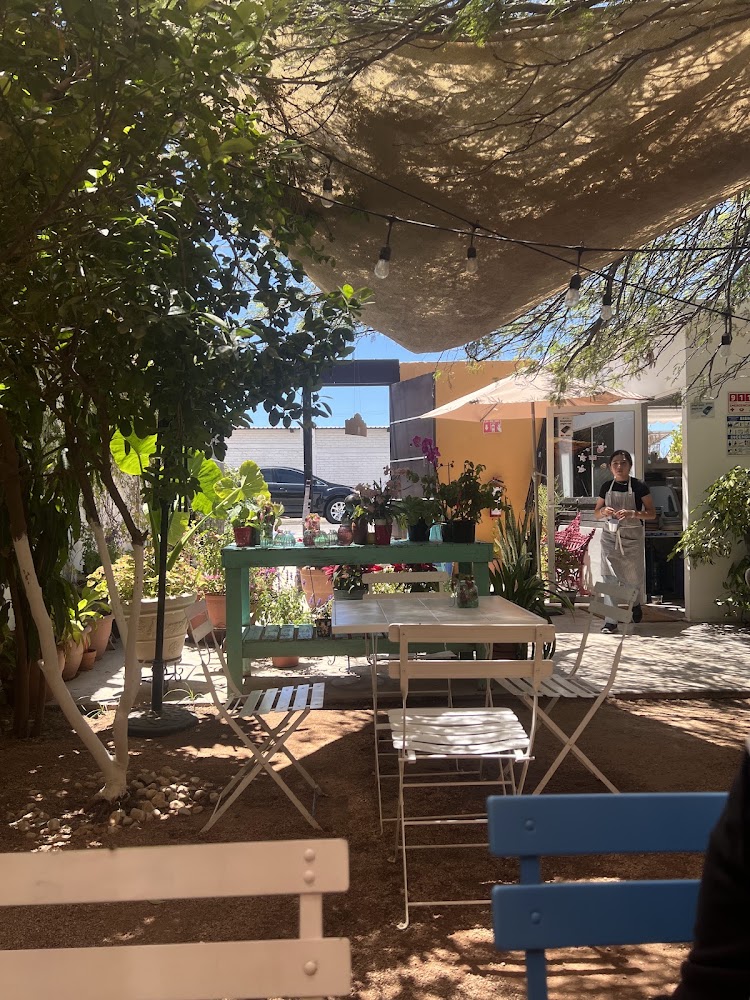 Marietta Cocina de Jardín
