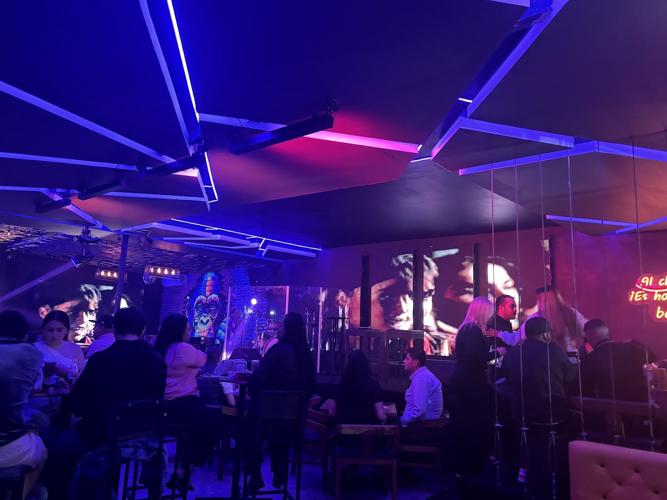 Cinco cinco cantina live