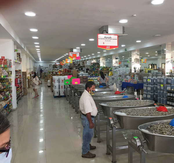 El Tianguis Del Camarón