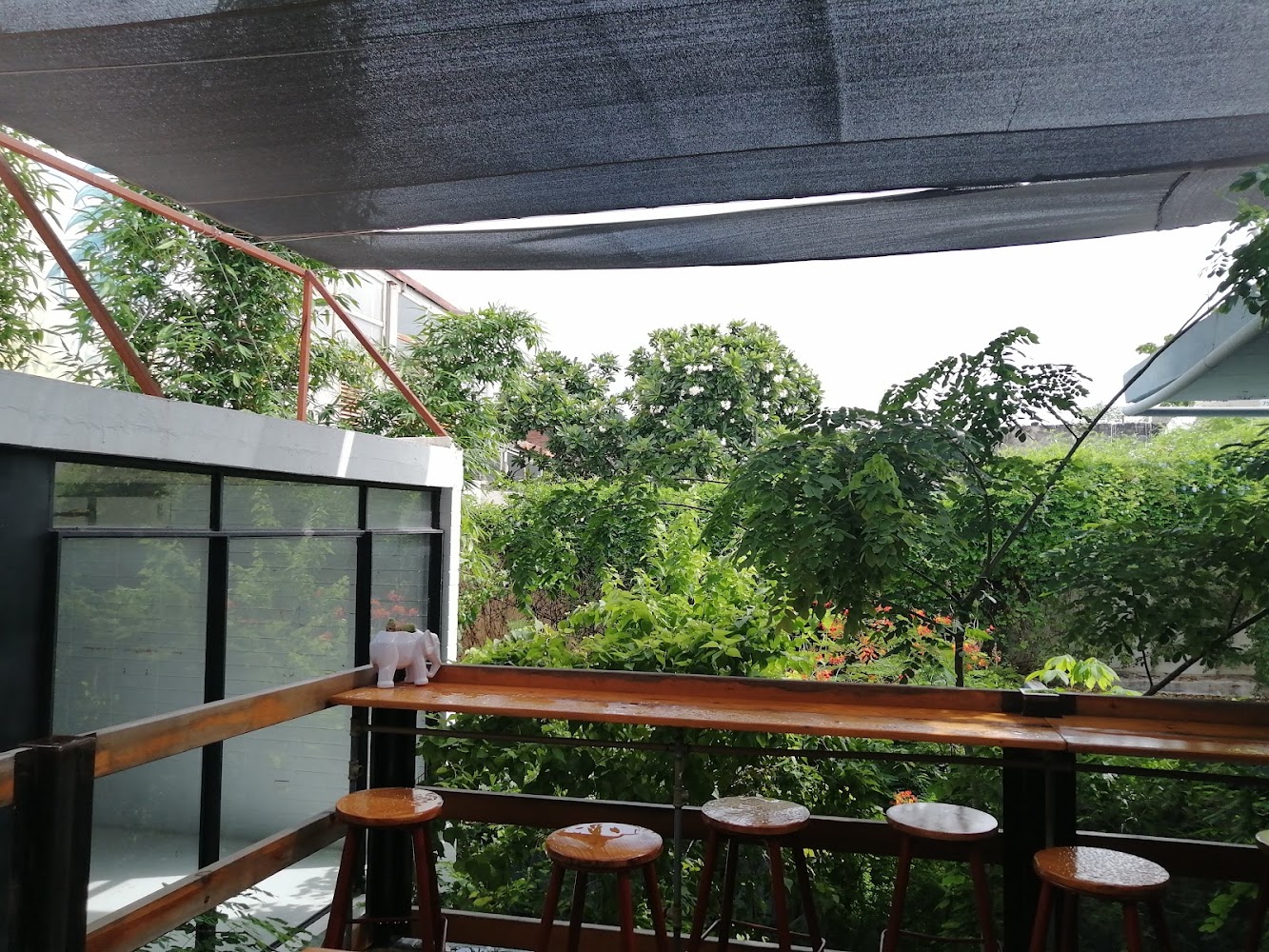 Café Onca