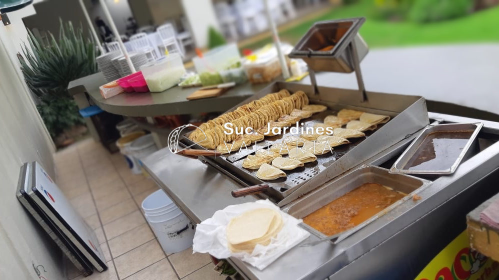 Tacos De Barbacoa Jardines Vallarta
