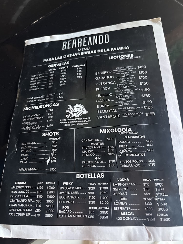 BERREANDO karaoke
