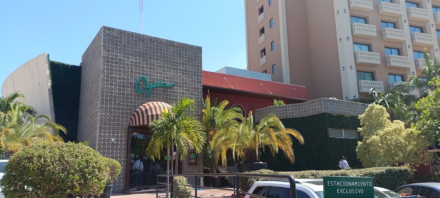 Cayenna Cocina del Mundo