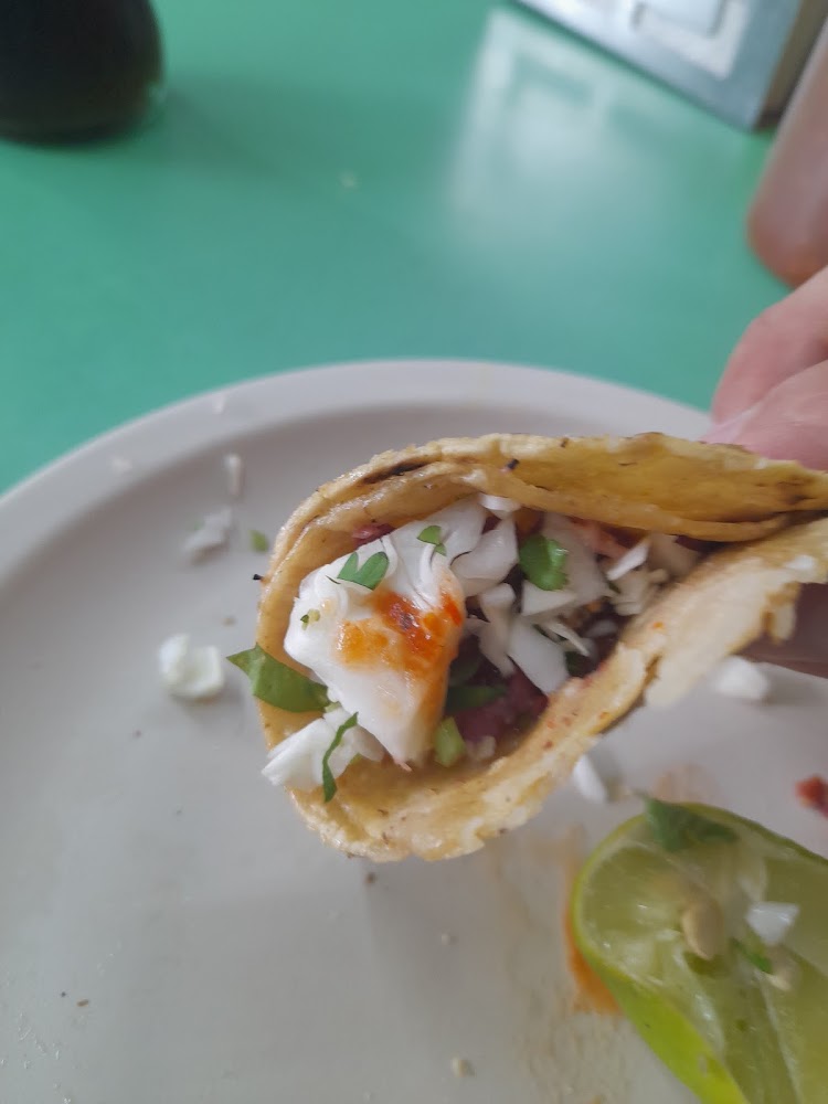 Tepache Taquería