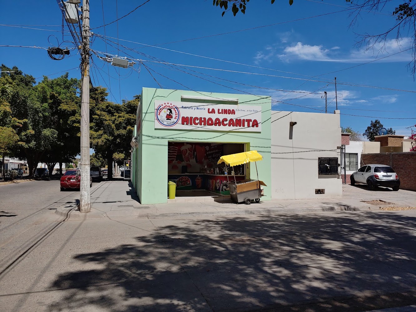 Paletería y nevería la linda michoacanita